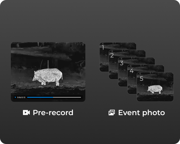 Zen Link app pre-record sync